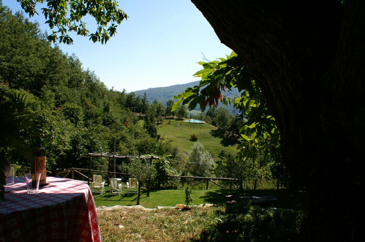 Agriturismo Il Gufo San Marcello Pistoiese Ngoại thất bức ảnh
